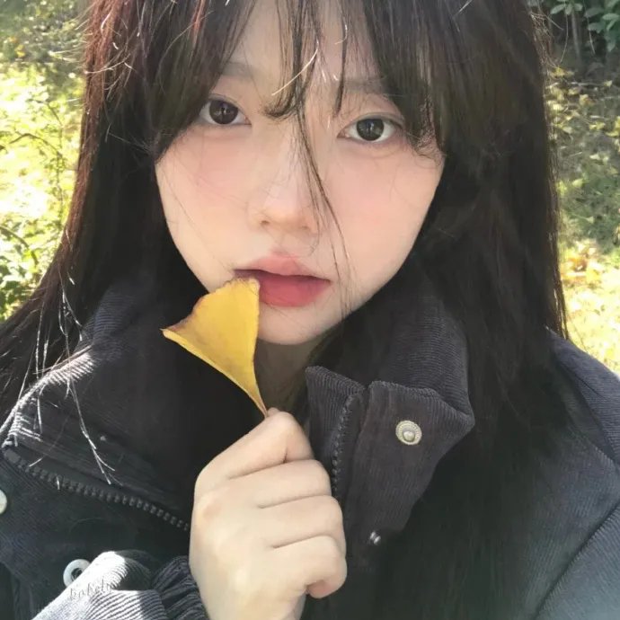 春满兰宫 海报