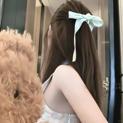 新蝶恋花 海报