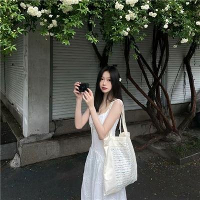 茶花彝女 海报
